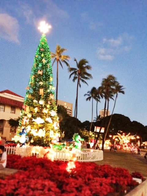 Christmas on the islands can be fesitve just like anywhere else.
