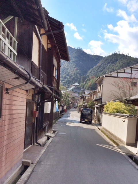 A side street with the virgin forest in the background.