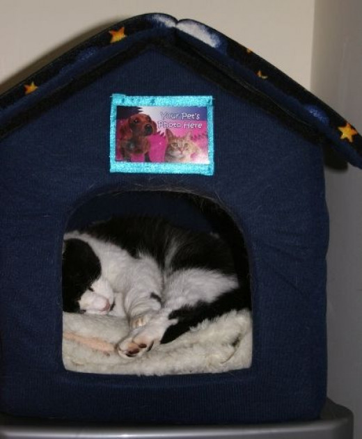 snugglesafe pets place