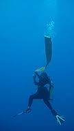 scuba-diving-safety-sausage.jpg
