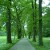 Garden path in Hellbrunn Garden path in Hellbrunn
