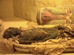 Egyptian Mummies