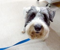 That's me, Lance! That's me, Lance!