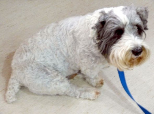 I like you too! I like you too!