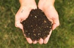 compost-soil.jpg