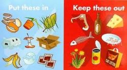 what-to-compost.jpg