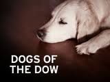 dogs-of-the-dow.jpg