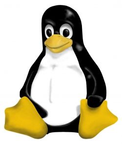 Linux Tux Mascott