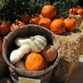 The Moods and Music of Autumn -- from Melancholy to Celebration