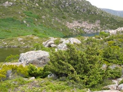 Tarns nestled between rocky hills and alpine flora