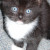 Oh, you are so cute. This baby was named Francesca by her new owner. Oh, you are so cute. This baby was named Francesca by her new owner.