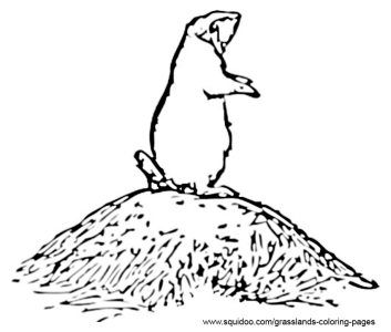 Prairie Dog Coloring Pages