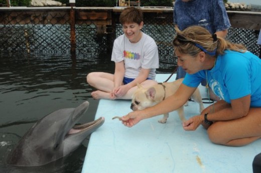 Teddy wants the fish.
