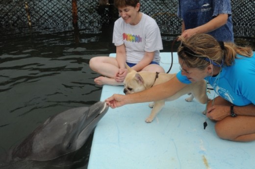 Kibby gets the fish.