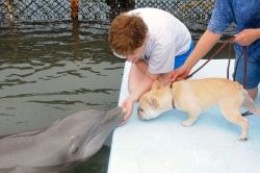Teddy checks out Kibby