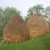 Haystacks, Tara National Park, Serbia Haystacks, Tara National Park, Serbia