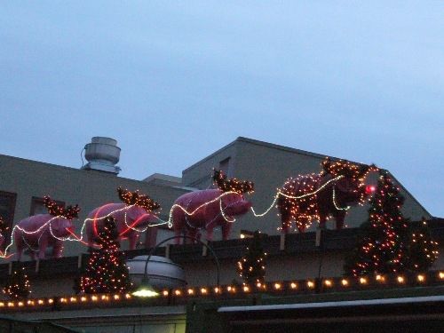 Flying Christmas Pigs