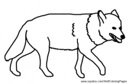 Wolf and Other Wild Dogs Facts and Coloring Pages