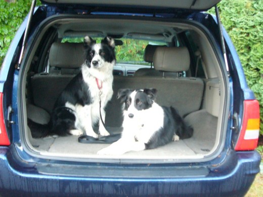 7:30 am Going for a Ride in the Jeep