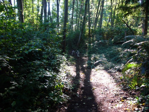 Tim and Skye running the trails