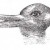 Bi-stable illusions force viewers to see one image or the other at a single time, but not both. Does your vision flip back and forth between a duck facing left and a rabbit facing right? This image, first published in 1899 by J. Jastrow, is in the pu Bi-stable illusions force viewers to see one image or the other at a single time, but not both. Does your vision flip back and forth between a duck facing left and a rabbit facing right? This image, first published in 1899 by J. Jastrow, is in the pu