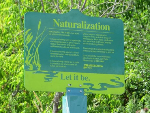Mississauga Parks Naturalization