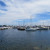 Port Credit Harbour Marina.