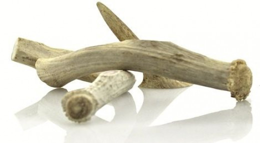 good prices on elk antlers for dogs