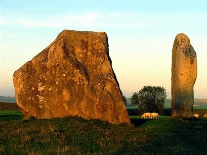Stones in Avebury Stone Circle in a field where sheep graze