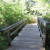 Bridge Bridge