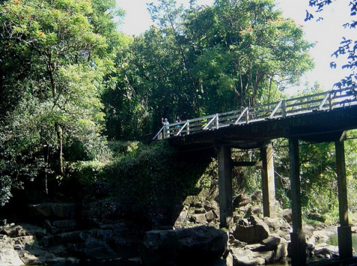 Old trestle bridge outside Hilo that we use to jump from as kids. 