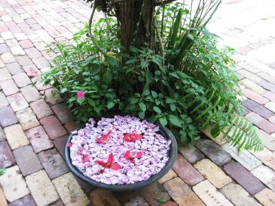 Fragrant bowls of floating petals are freshened up everyday