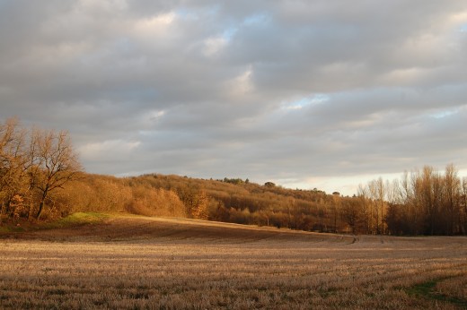 A field away from Le Moulin de l'Argentouire