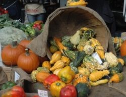 Fall is my favorite time of the year at the farmers market
