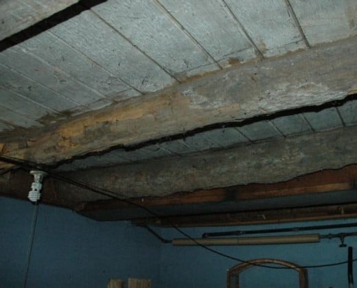 The house is so old that there's logs in the basement.  Most of them still have bark on them.