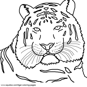 Realistic Tiger Face Coloring Pages
