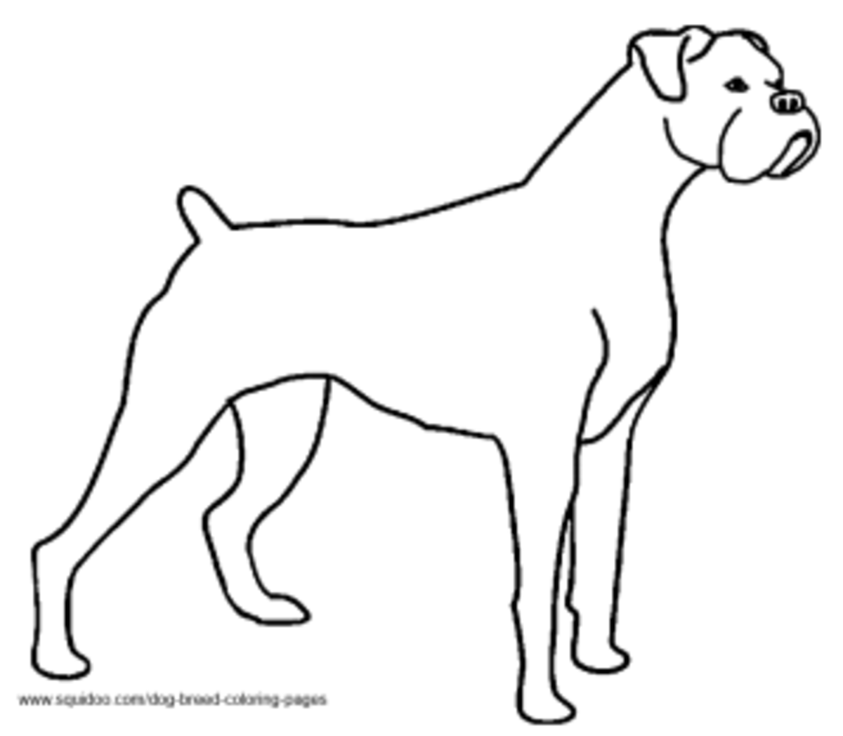 Boxer Dog Coloring Sheets Coloring Pages