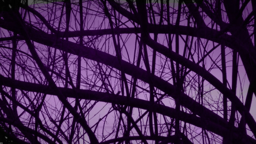 Purple Twilight