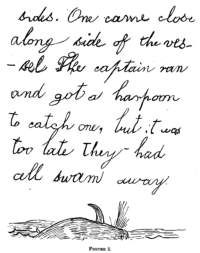 A page from a nature journal by 7-year old Edward Drinker Cope (1847)