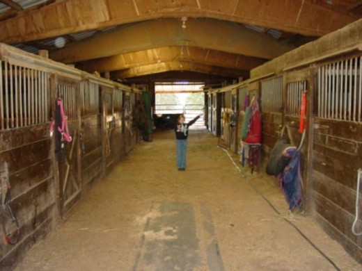 My favorite place to be is at the barn