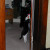 Playing with a toy hanging from the door knob.
