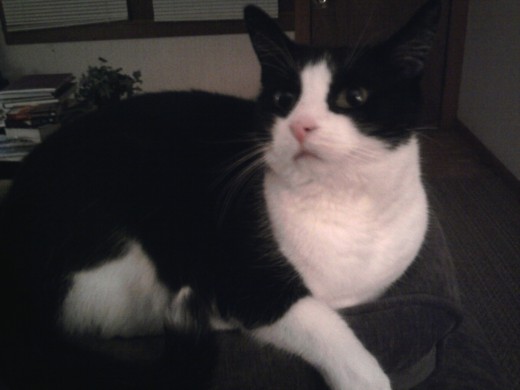 An inquisitive look.