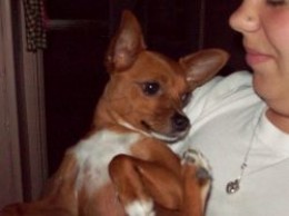 Lexie being carried around