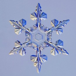 Hexagonal snow crystal