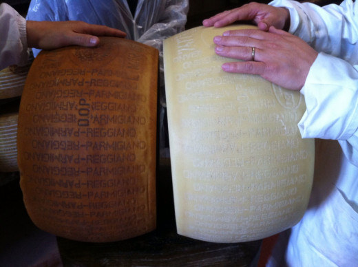 parmesan cheese 2005 and 2013