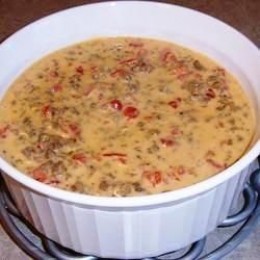 Spicy Rotel Cheese Dip Recipe Delishably Spicy Rotel Cheese Dip Recipe Delishably