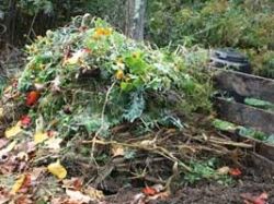 Layered Compost Pile