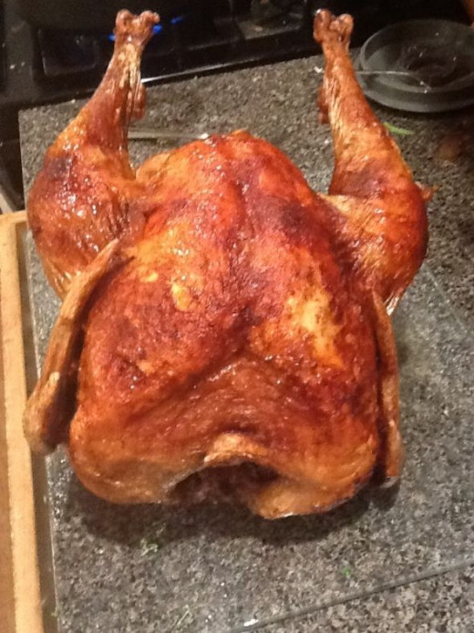 Electric Turkey Fryer