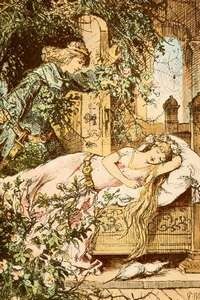 Your blog without proper care reminds of the Sleeping Beauty!