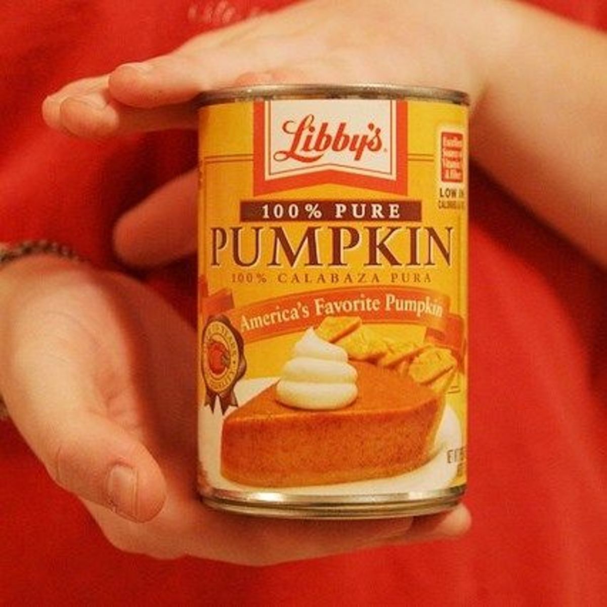 Libby's Pure Canned Pumpkin